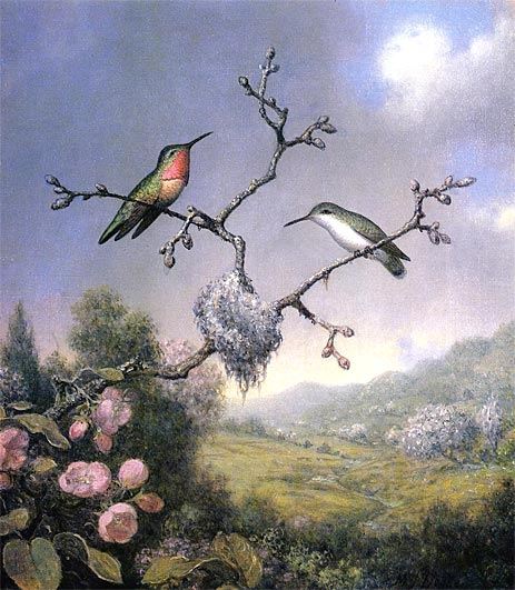 Martin Johnson Heade Hummingbirds and Apple Blossoms